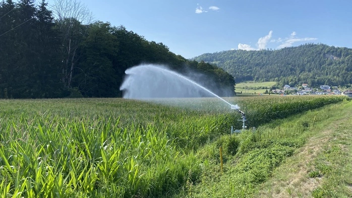 Am Rande eines Maisfelds unterhalb der Burg Hochosterwitz steht ein Gestell, das Wasser wie Sprühregen verteilt.