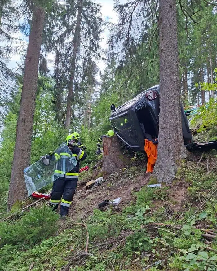 Im Einsatz standen die FF Wartberg und die FF Mitterdorf mit gesamt 20 Kräften, das Rote Kreuz mit Notarzt, First Responder und die Polizei