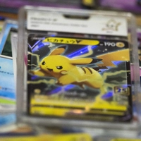 Pokemon-Sammelkarten sind beliebt - auch bei Einbrechern