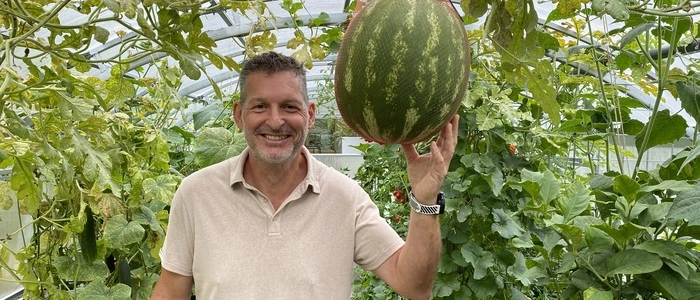 Wolfgang Petritz steht in seinem Gewächshaus, neben ihm auf Kopfhöhe wächst in einem Netz eine Melone