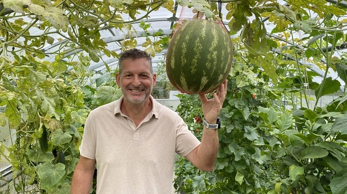 Wolfgang Petritz steht in seinem Gewächshaus, neben ihm auf Kopfhöhe wächst in einem Netz eine Melone