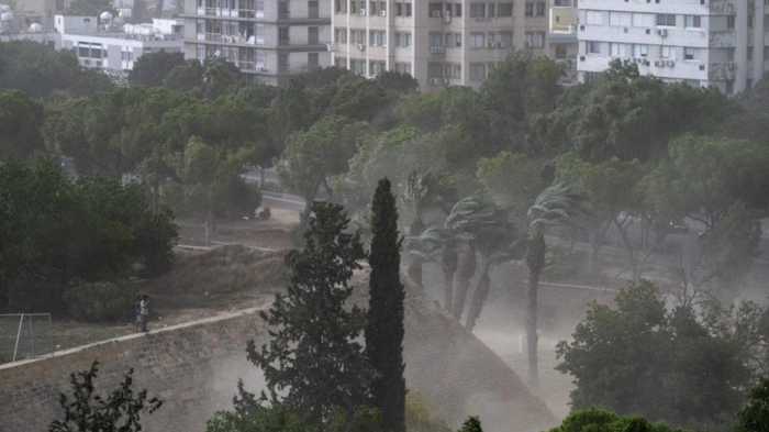 Men stand in a park watching strong winds blow during a storm in Nicosia on August 29, 2026. (Photo by Jewel SAMAD / AFP)