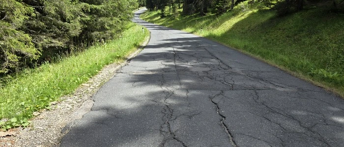 Das Bild zeigt die mit Rissen im Asphalt übersäte Falkertsee Straße.