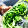 Konsumentenschützer fanden Schimmel und Keime in essfertigen Salaten