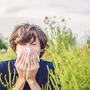 Beifuß und Ragweed: Jetzt kommen harte Zeiten für Allergiker 