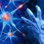 Warum die Parkinson-Fälle so rasant zunehmen: Parkinson ist die am stärksten wachsende neuro-degenerative Erkrankung weltweit 