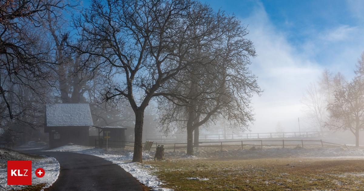 Viel-zu-warm-Der-Traum-von-wei-en-Weihnachten-r-ckt-in-weite-Ferne