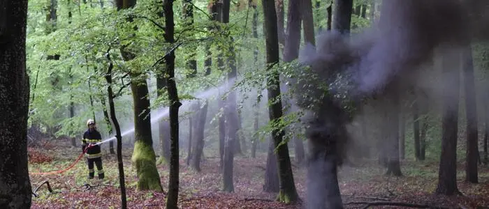 In Tieschen simulierte man einen großen Waldbrand
