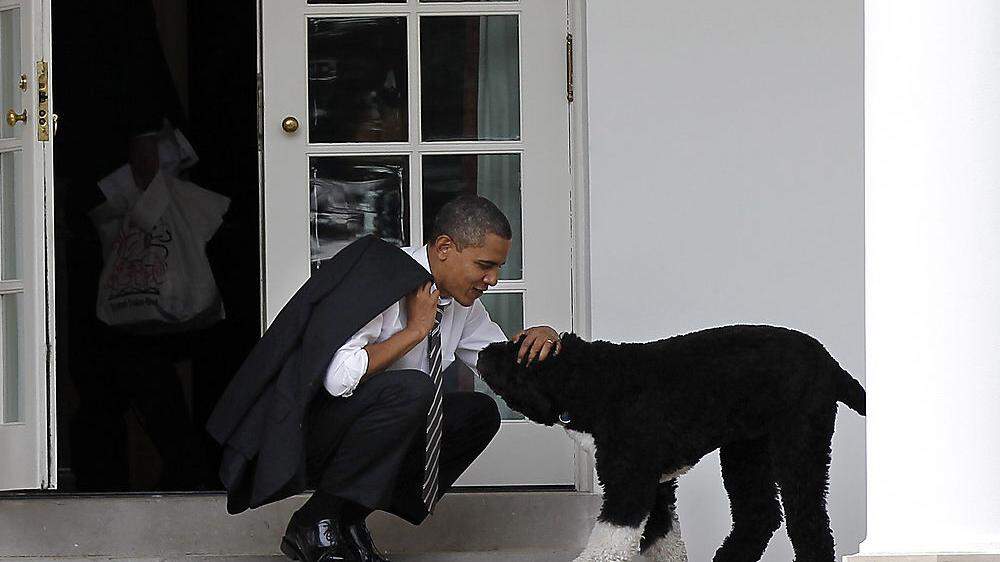 Barack Obama mit seinem Hund Bo