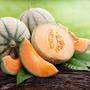 Auf Melonen wurde Insektengift gefunden