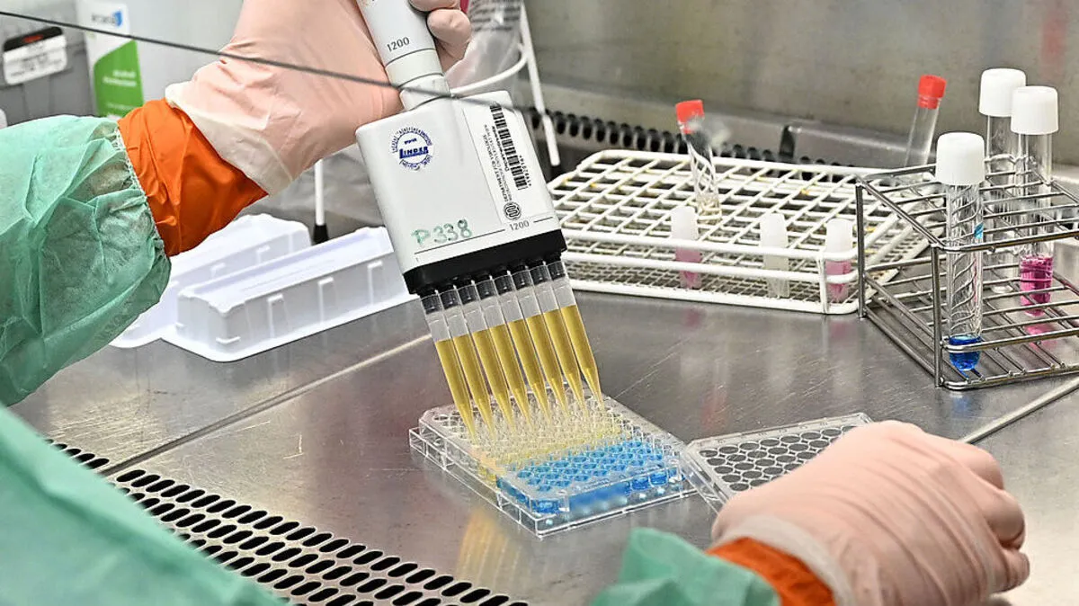 ++ THEMENBILD ++ LABORUNTERSUCHUNG ZUM CORONAVIRUS