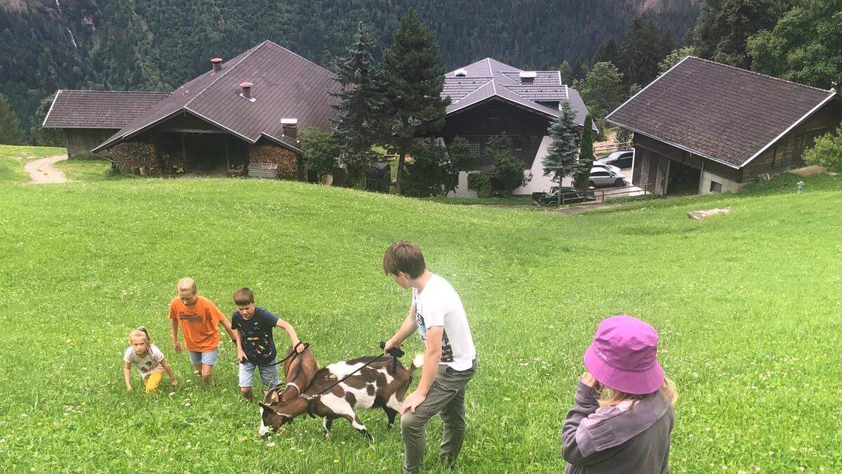 Die Kinder lernen spielerisch das Leben am Bauernhof kennen