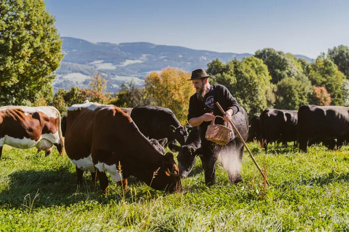 In Mutterkuh-Haltung mit Natursprung und tiergerecht auf Weiden und Almen werden im Reiters Reserve Angus-Rinder und einige seltene Rassen gezüchtet