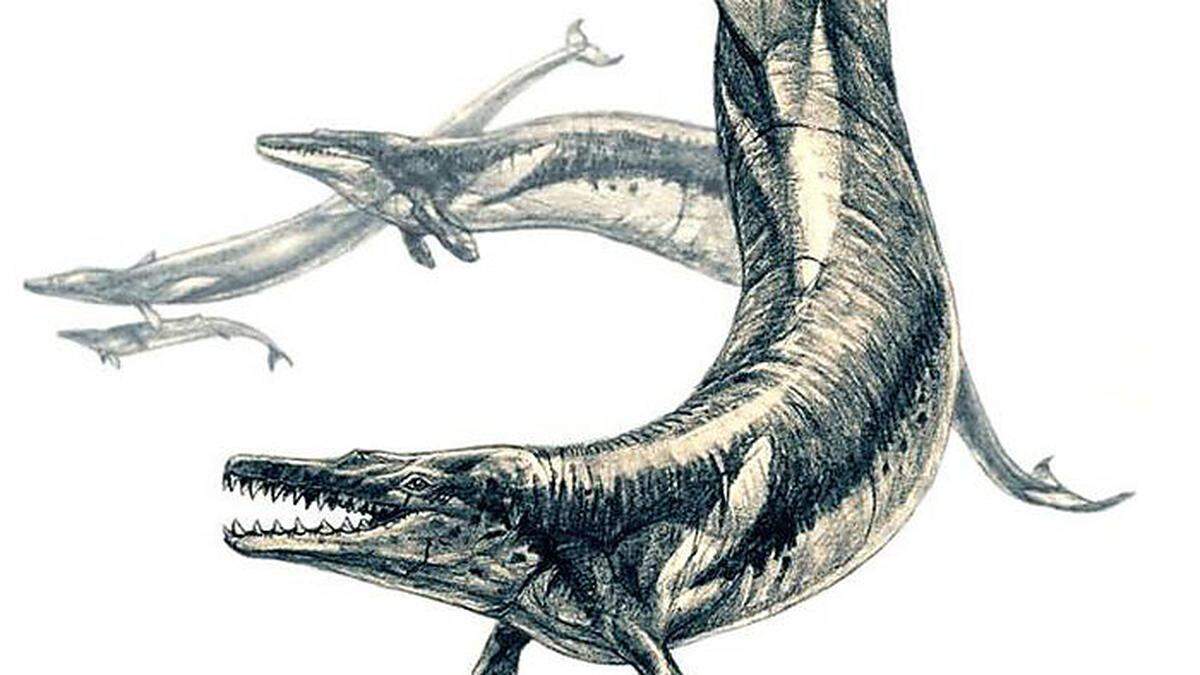 Lebendrekonstruktion eines Basilosaurus