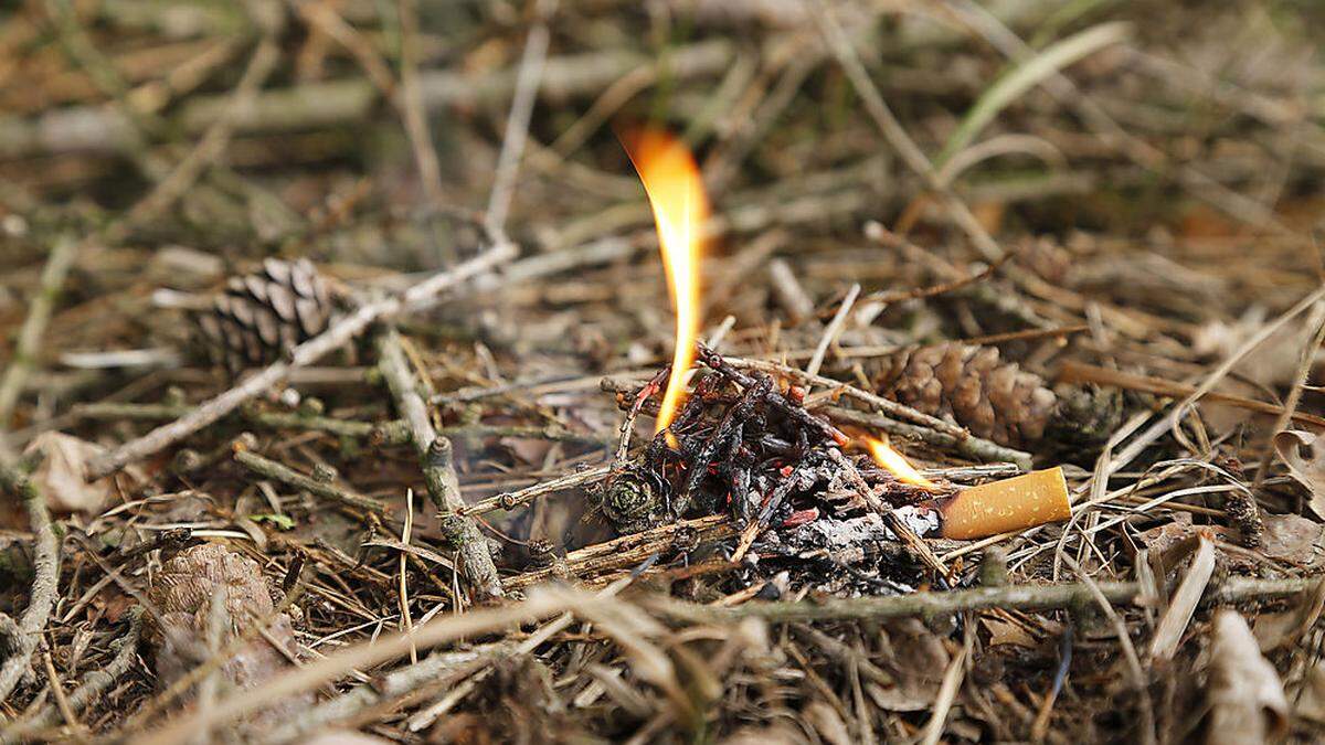 Durch die derzeitige Hitze und Trockenheit ist die Gefahr von Waldbränden besonders hoch