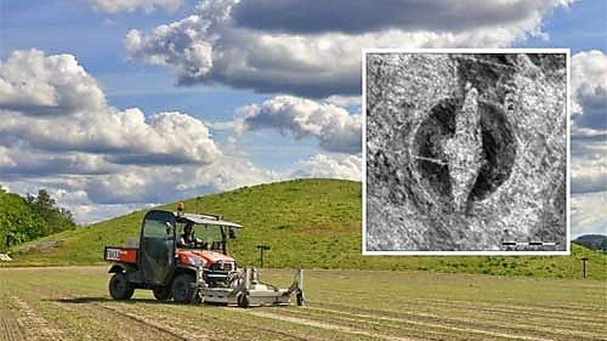 Archäologen entdecken bestattetes Wikingerschiff