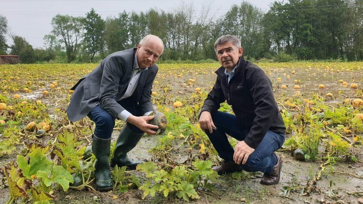 Landesrat Johann Seitinger und der Landtagsabgeordnete Franz Fartek in Breitenfeld, wo das Unwetter die ärgsten Schäden angerichtet haben dürfte