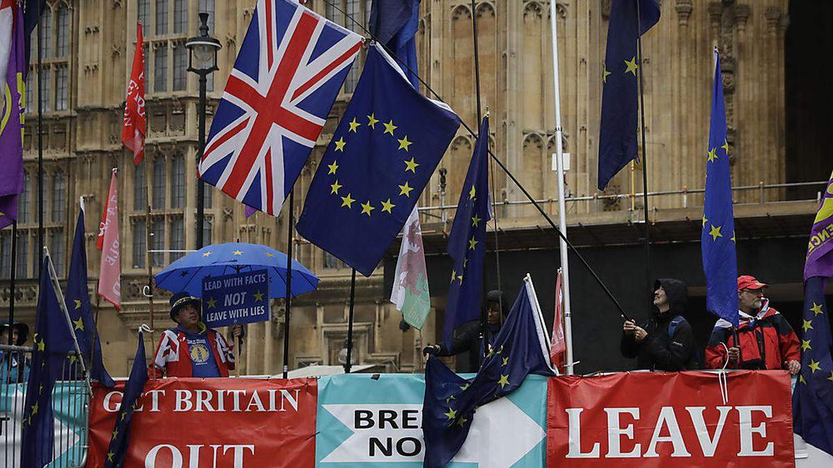 Proteste vor Westminister