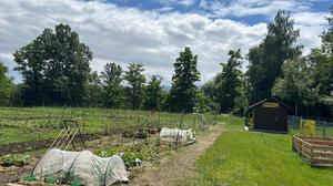 Der neue Gemüsegarten in Villach St. Magdalen