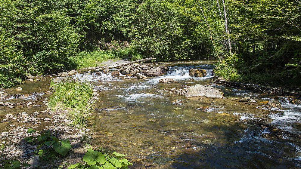 Die steirischen Flüsse entsprechen zu einem Gutteil ganz und gar nicht dem Idealbild intakter Lebens- und Naturräume