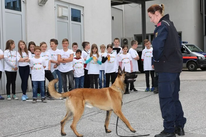 Es gab auch eine Diensthundevorführung.