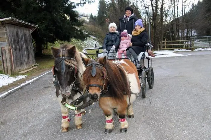 Die Kinder hatten ihren Spaß bei Rundfahrten mit einer Pony-Kutsche.