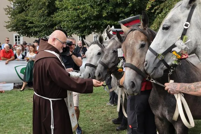 Traditionell werden die jungen Hengste in Maria Lankowitz gesegnet, Bruder Elias gab den weißen Pferden heuer Zucker 