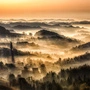 Man sieht eine nebelig-schöne Landschaft