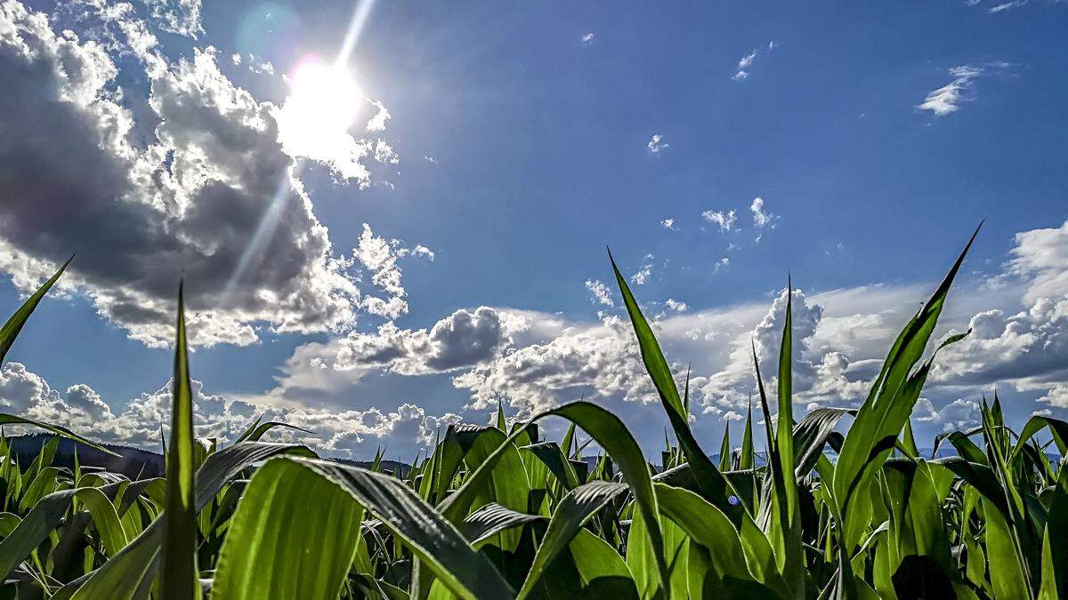 Zwischendurch kommt die Sonne durch