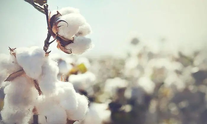 Wirklich wissen, wo es herkommt – Transparenz ist das Um und Auf