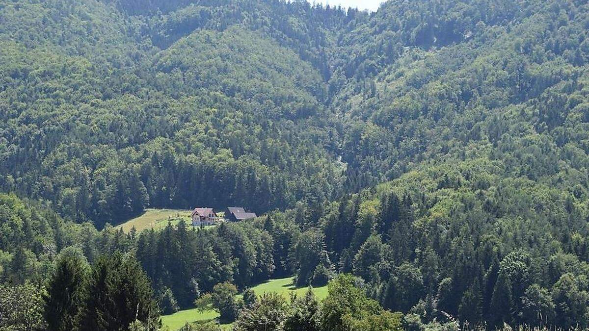 Inmitten des Landschaftsschutzgebietes Südweststeirisches Weinland ist der Steinbruch geplant