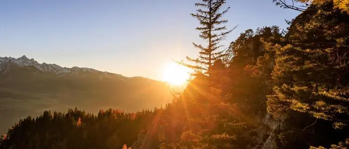 Hinter einem Nadelbaum geht in den Bergen die Sonne unter.
