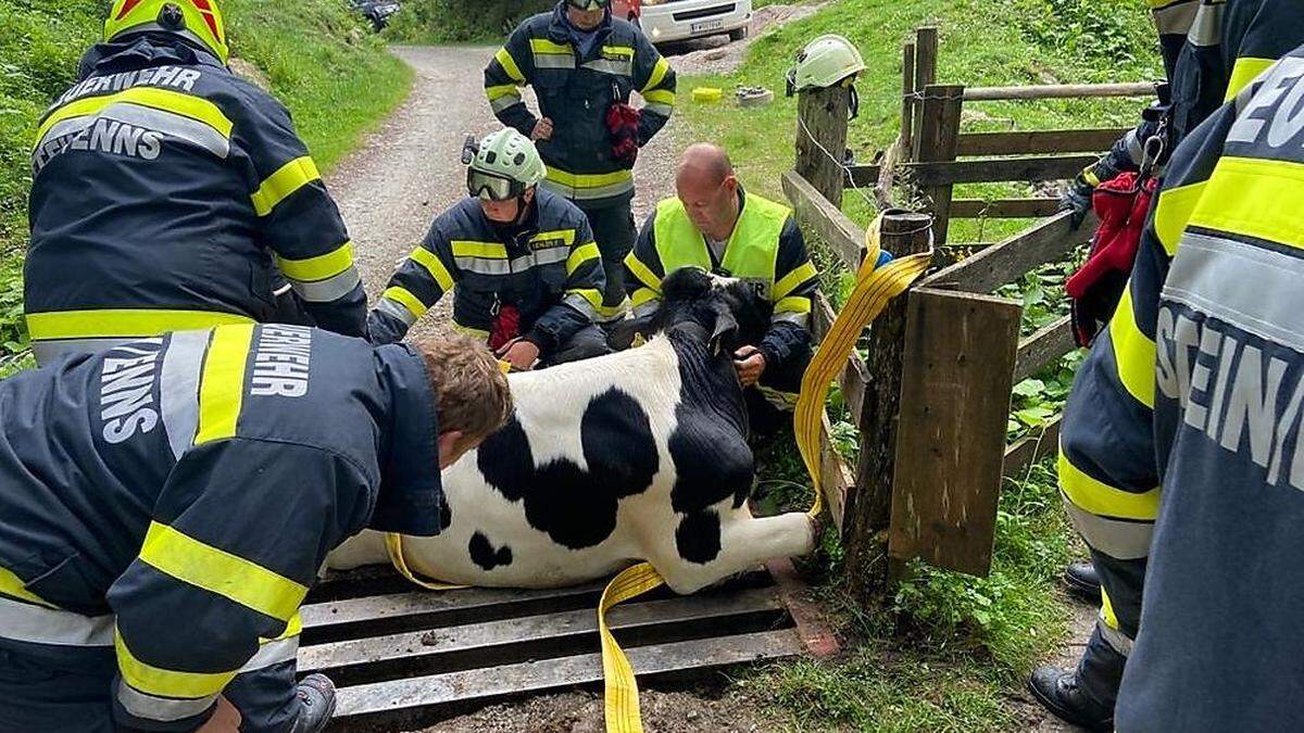 Die Feuerwehr befreite das Tier