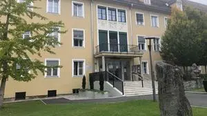 Die BH Südoststeiermark bestätigte am Montag die drei Fälle