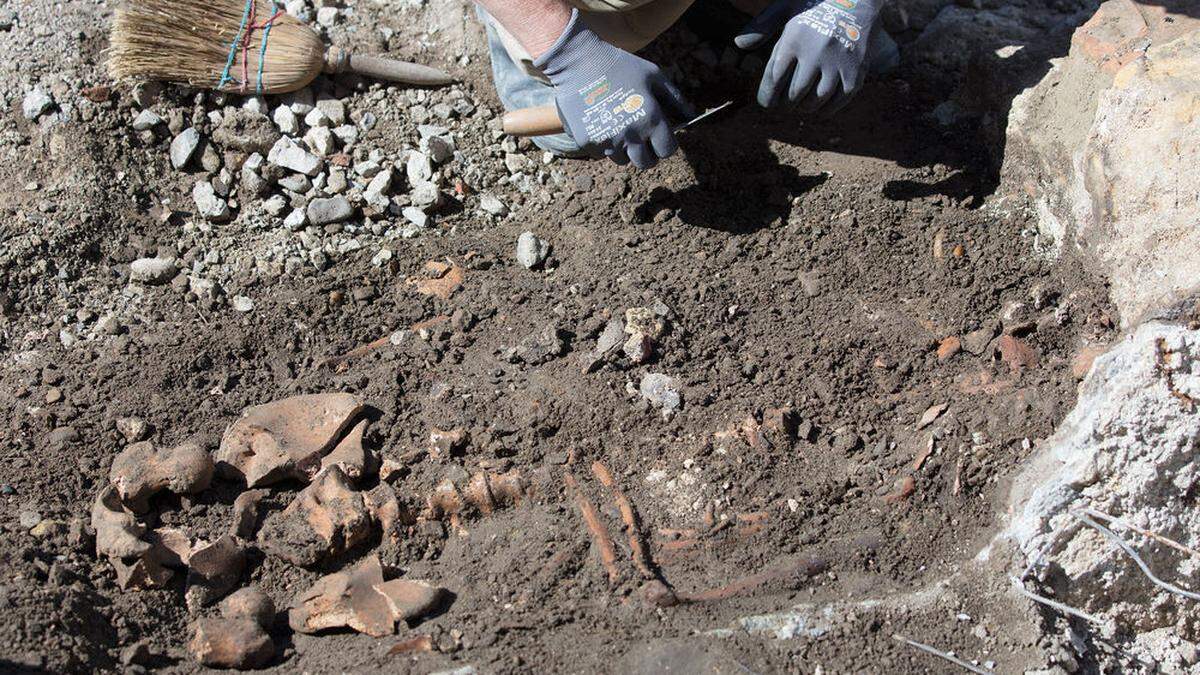 Im Mai wurde bei Arbeiten am Wiener Stephansplatz ein Skelett entdeckt