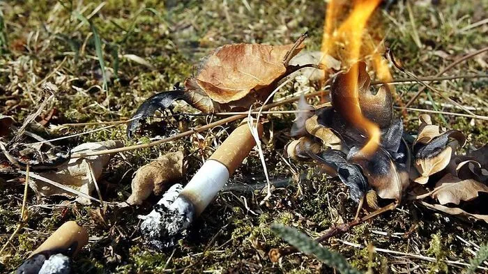 In den Oberkärntner Wäldern herrscht erhebliche Waldbrandgefahr