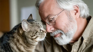 Happy End mit einer jährlichen kostenlosen Fotoanzeige