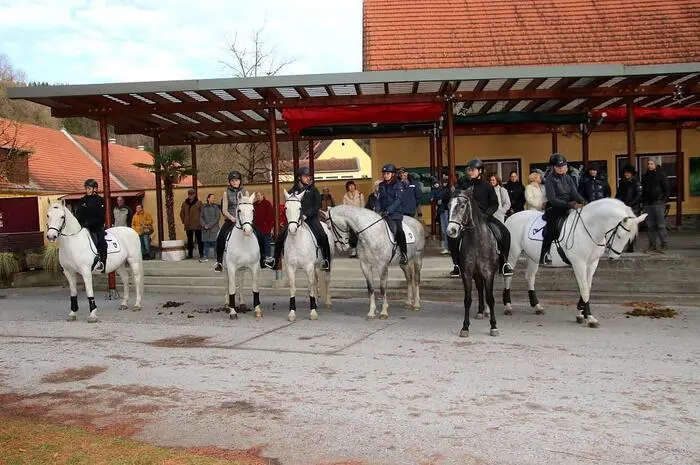 Nach einem Festgottesdienst segnete Pfarrer Hans Fuchs stellvertretend für alle Lipizzaner und Mitarbeiter im Bundesgestüt die sechs edlen Tiere, die Aufstellung genommen hatten.