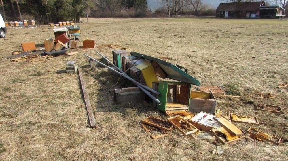 So sah es nach einem der jüngsten Vorfälle in Tratten bei Ferlach aus: 13 Bienenstöcke wurden dort geplündert