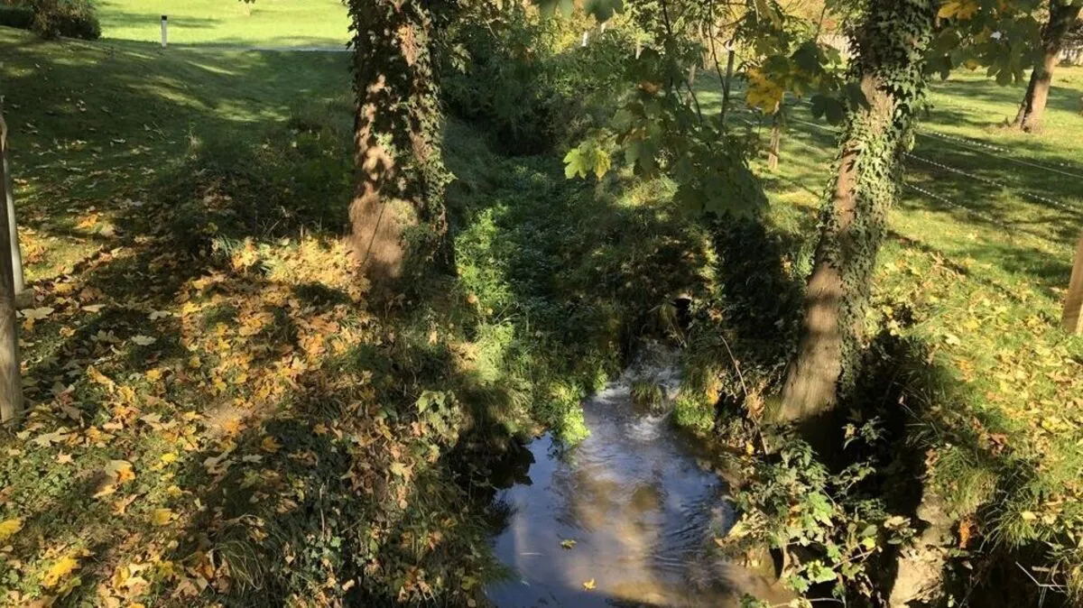 Der Oberfladnitzbach