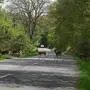 Rehe, die über die Straße liefen, wurden einer Frau aus dem Bezirk Feldkirchen zum Verhängnis (Symbolfoto)