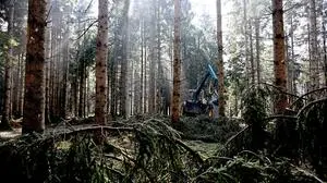 Symbolfoto | Symbolfoto