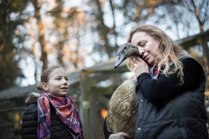 Egal, ob Igel oder Vögel oder ...