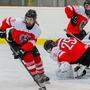 Die österreichischen Eishockey-Mädels wollen zur Weltmeisterschaft der Unter-18-Jährigen