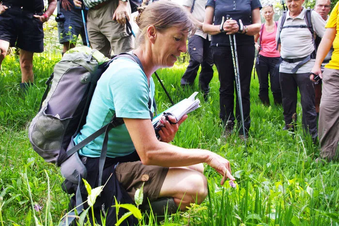 Praktische Anschauung ist das Wichtigste bei der Wanderung.