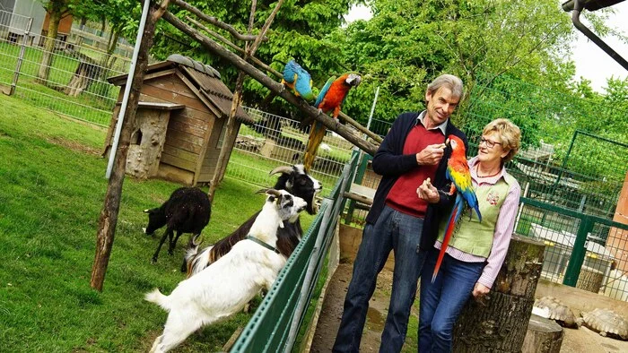 Auf dem 4000 Quadratmeter großen Areal der Hobby-Farm Schildberger in Farrach bei Maria Rojach kann man im Freigehege rund 60 Tierarten sowie 350 Tiere erleben.