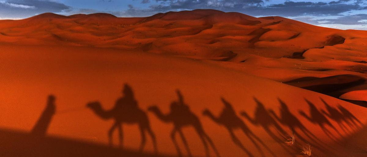 Karawanenleben hautnah: Mehrtägige Wandertouren in der Wüste bringen Sand ins Getriebe von Alltagsroutinen