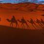 Karawanenleben hautnah: Mehrtägige Wandertouren in der Wüste bringen Sand ins Getriebe von Alltagsroutinen