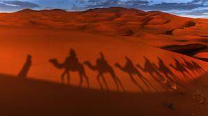 Karawanenleben hautnah: Mehrtägige Wandertouren in der Wüste bringen Sand ins Getriebe von Alltagsroutinen