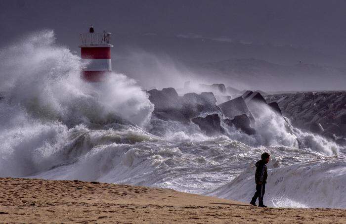 Mehr als eine Welle 